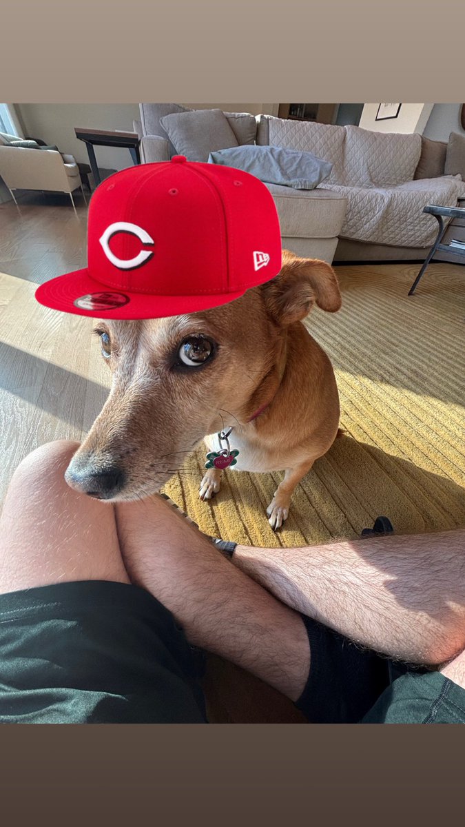 BrettTibbits's tweet image. “At least we lost to the ws champs”😔