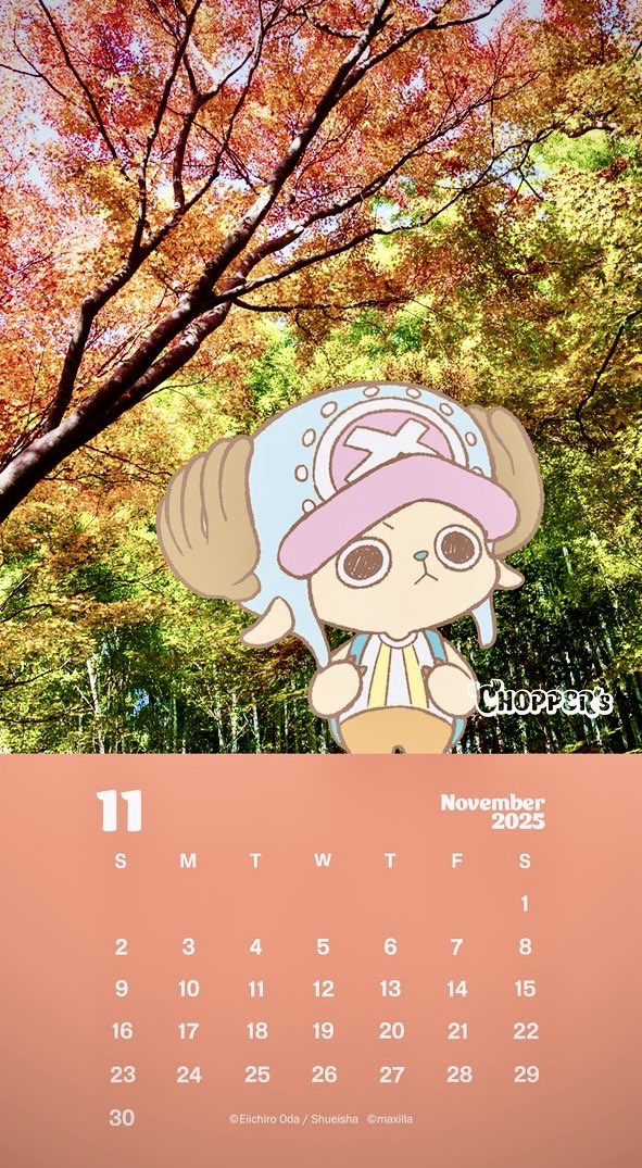 ヒソカ・モロゥー (@upo7Z3jjs85VXj0) / Posts / X