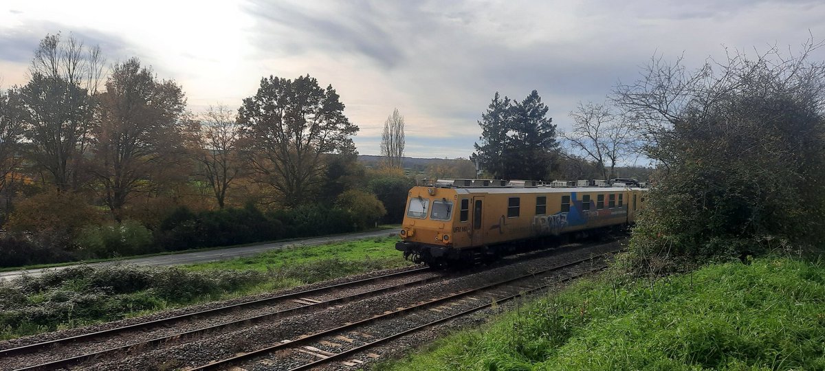 Adelifpaly tweet media