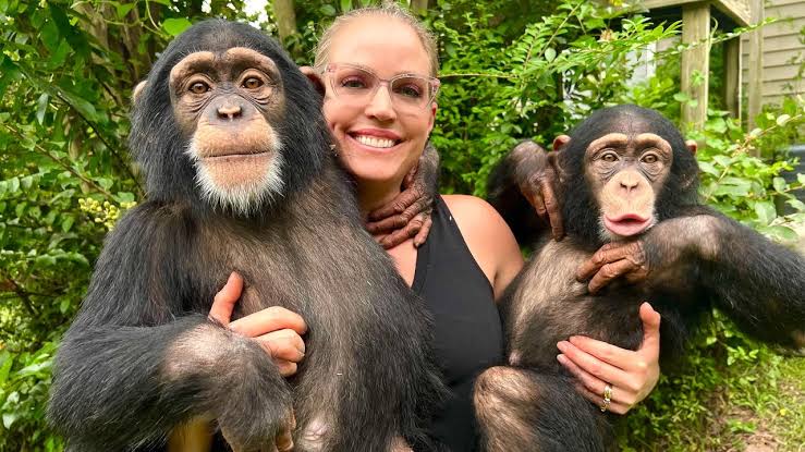 kiyashaber11's tweet image. Şempanzelerin bir fikre körü körüne bağlı kalmadığı, fikirlerini değiştirebildiği ortaya çıktı.

Daha önce, sohbet ederken birbirlerinin sözünü kesmedikleri de tespit edilmişti.
