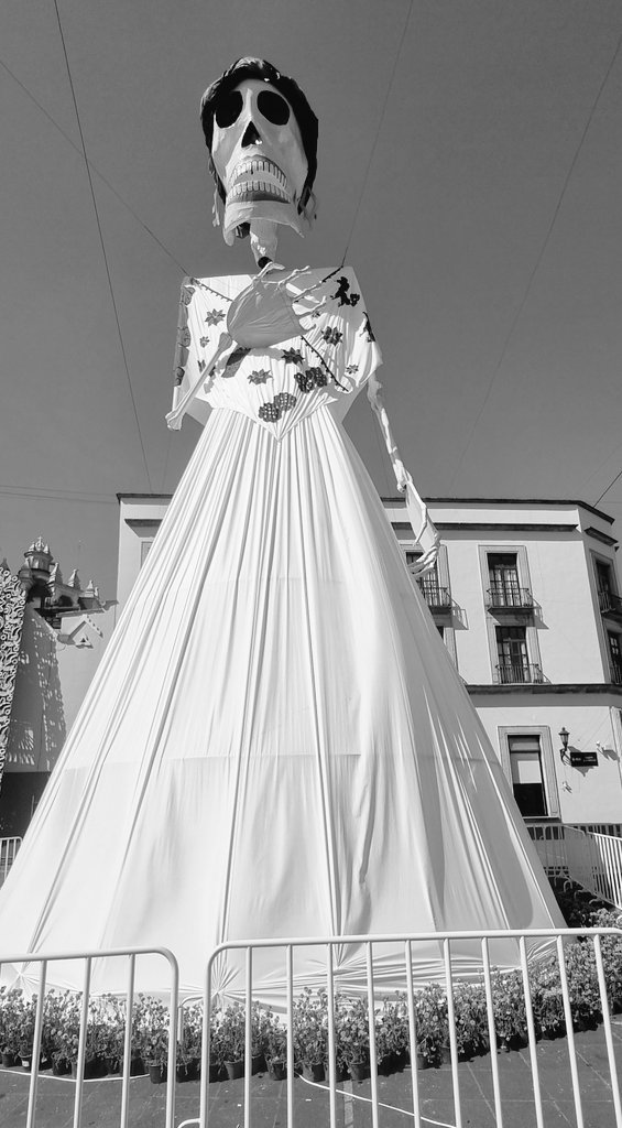 trantoriano's tweet image. #Xalapa