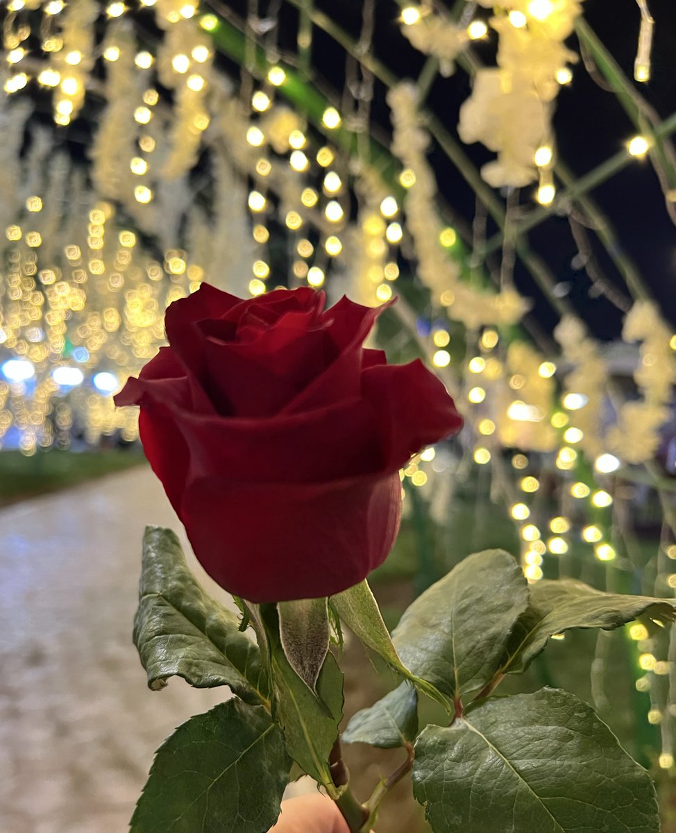 #تصويري

مساء الخير نوفمبر بدايات الشتاء والغيم 
مساء النور وطول الليل وشعر يفوح بأعماقي