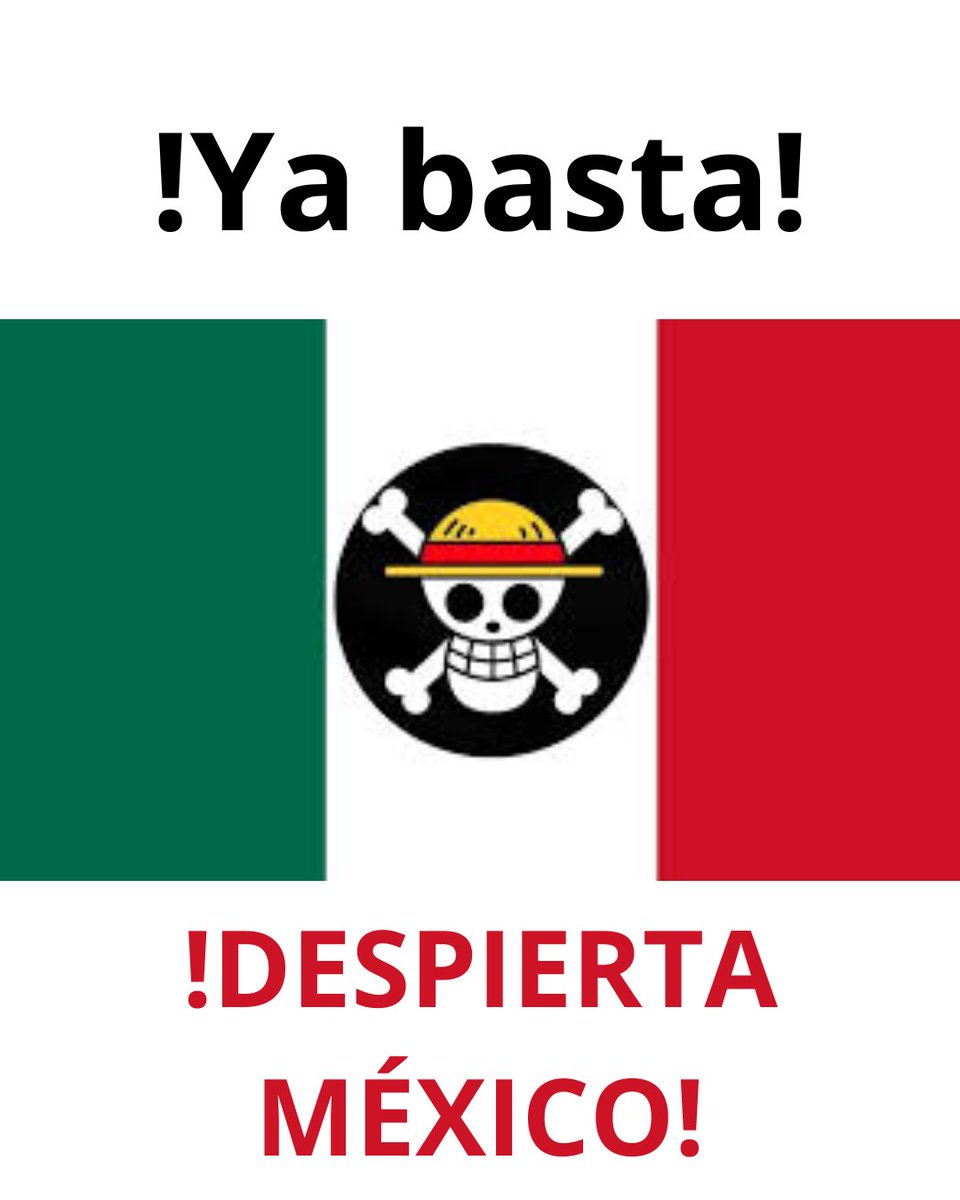 laura_vp's tweet photo. !Ya basta! !Despierta México! #DespiertaMexico #MexicoDeLuto #MexicoSinGobierno https://t.co/N8BGVJbfkM