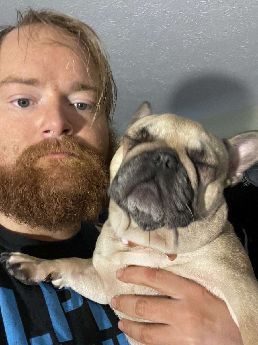 MAURICE_Wrestle's tweet image. There is a 3rd… her name is Frida 

#Frenchie #Bulldog #FrenchBulldog