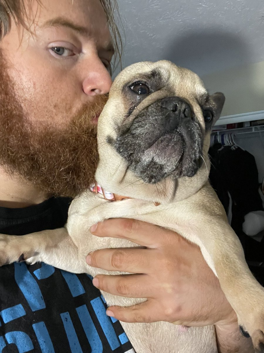 MAURICE_Wrestle's tweet image. There is a 3rd… her name is Frida 

#Frenchie #Bulldog #FrenchBulldog