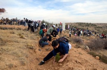 First image shows diverse group of people including women in headscarves and a young boy in white shirt planting and watering small pine saplings with green watering cans marked with forestry logo in dry soil near a wooden stake. Second image displays crowd gathered around white signboard reading Sehit Can Muharrem Ormani with Turkish flags and vehicles on dusty roadside in hilly terrain. Third image captures participants kneeling and digging to plant saplings in barren hillside landscape under blue sky with scattered bushes. Fourth image features line of officials in green uniforms and civilians standing formally beside plaque reading Sehit Can Muharrem Ormani against backdrop of arid hills and parked vehicles.
