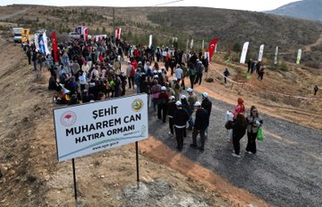 First image shows diverse group of people including women in headscarves and a young boy in white shirt planting and watering small pine saplings with green watering cans marked with forestry logo in dry soil near a wooden stake. Second image displays crowd gathered around white signboard reading Sehit Can Muharrem Ormani with Turkish flags and vehicles on dusty roadside in hilly terrain. Third image captures participants kneeling and digging to plant saplings in barren hillside landscape under blue sky with scattered bushes. Fourth image features line of officials in green uniforms and civilians standing formally beside plaque reading Sehit Can Muharrem Ormani against backdrop of arid hills and parked vehicles.
