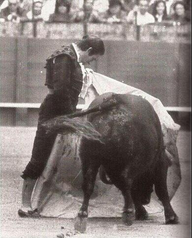Ay calle Cantarería,
cuna de un duende gitano,
arcángel de torería...

D.E.P. Rafael Soto Moreno, Rafael de Paula
