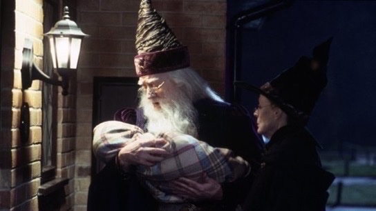 TheDailyHPotter's tweet image. I love the Harry Potter saga, I could watch it thousands of times and never get tired of it ♥️