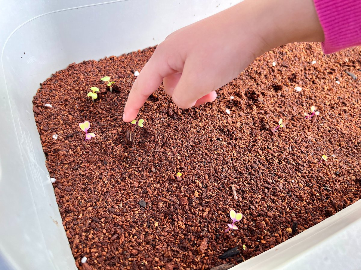 今日11/3(月)19時にショート動画を公開します！！！！！！ 11月1本目