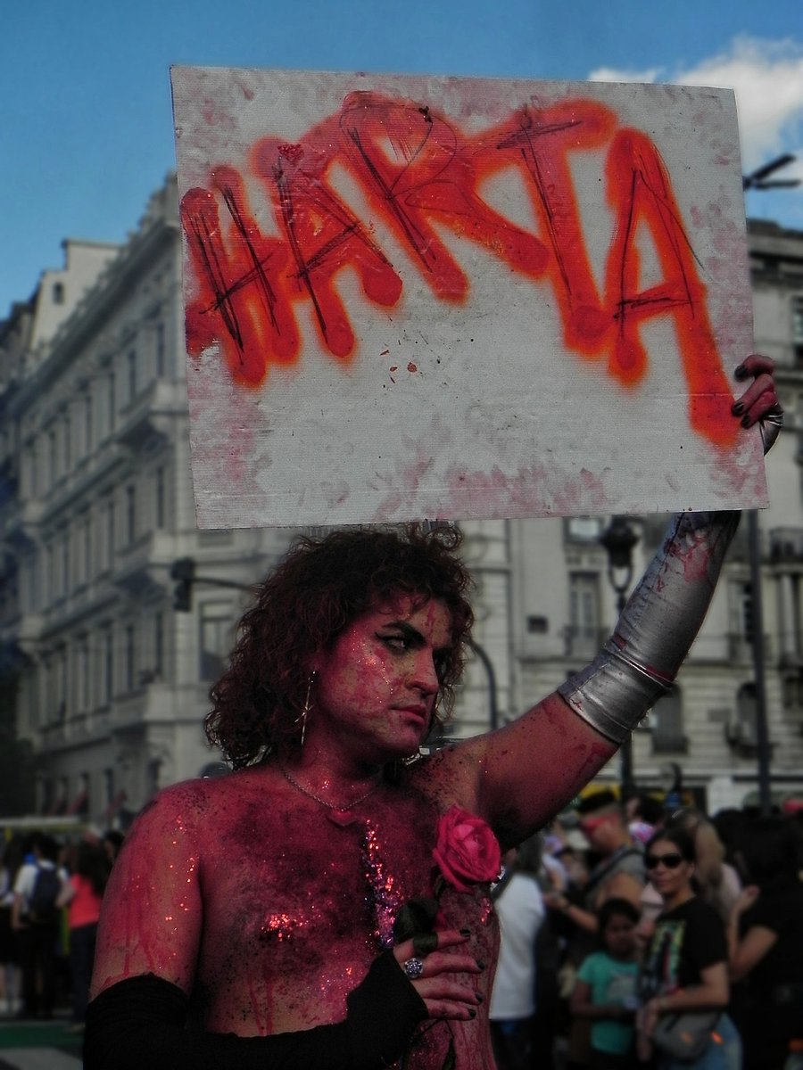 paloo☆ tweet media