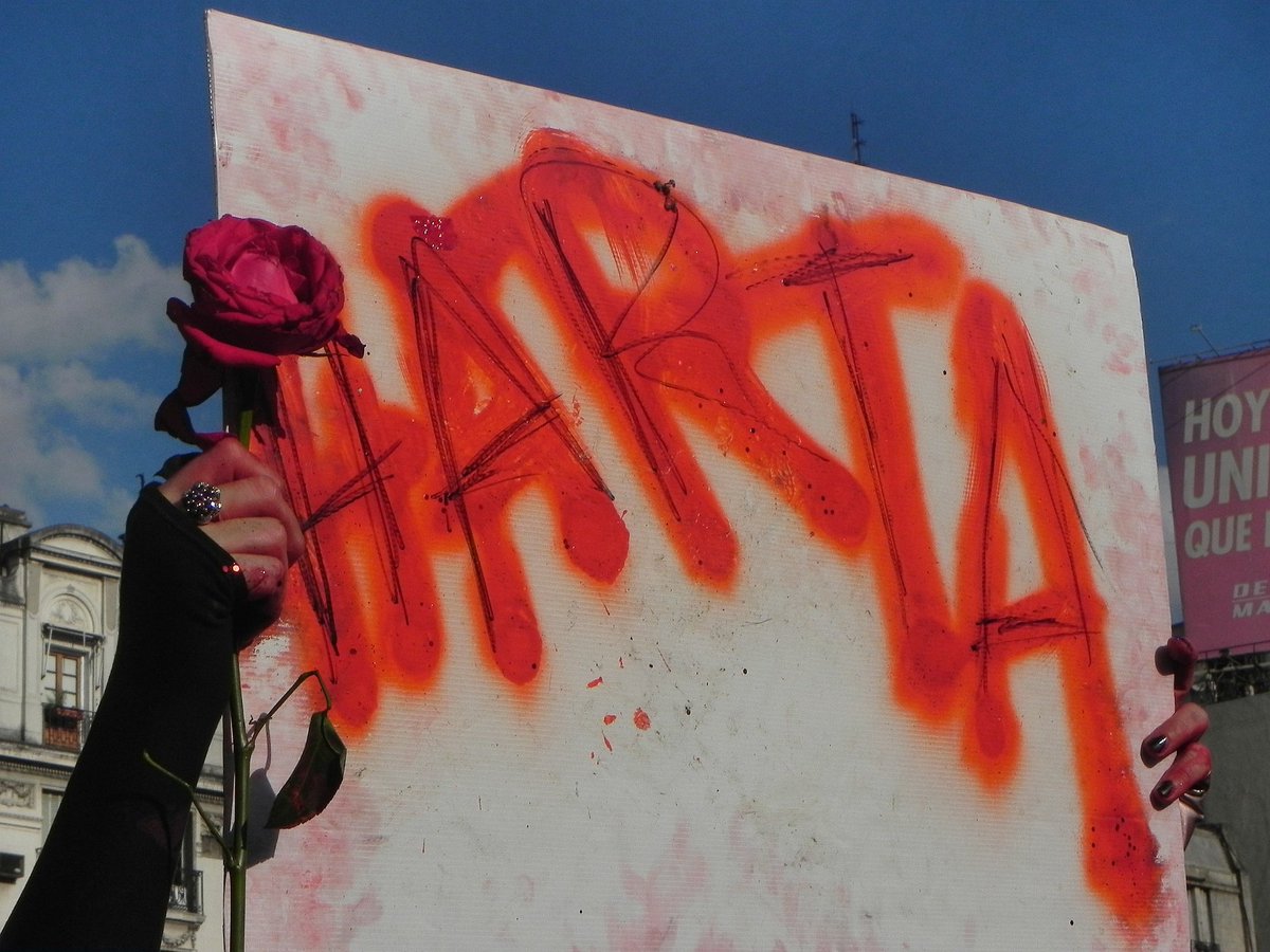 paloo☆ tweet media