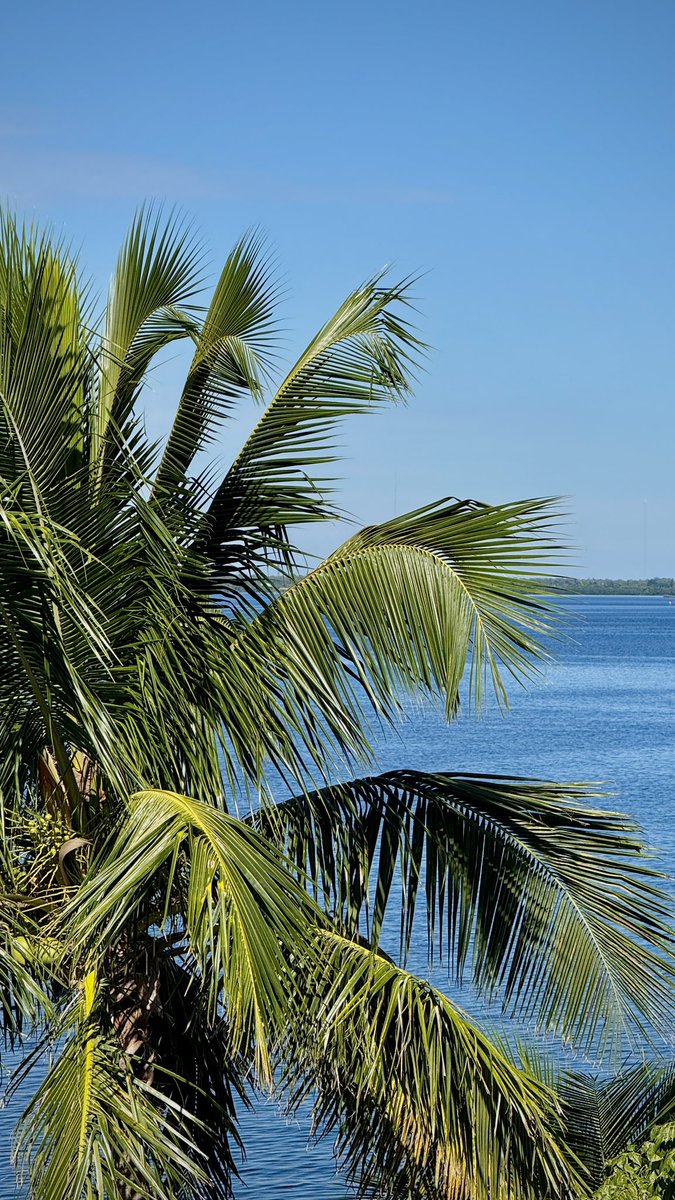 Sunday’s weather is 10/10