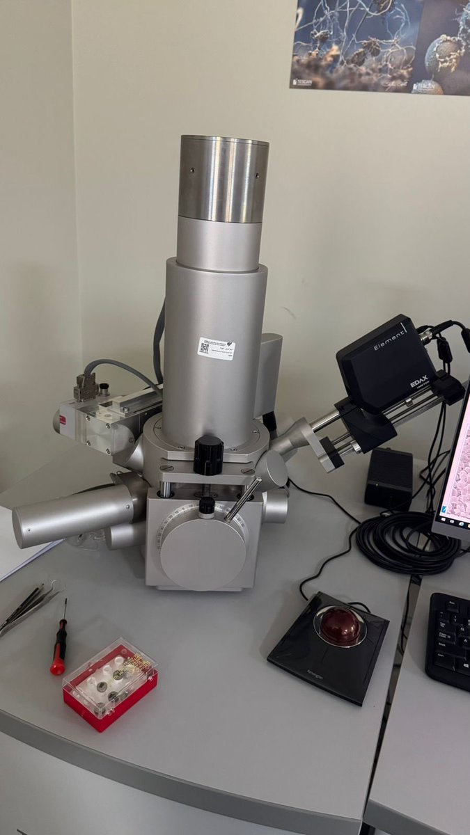 Department of Biology tweet media