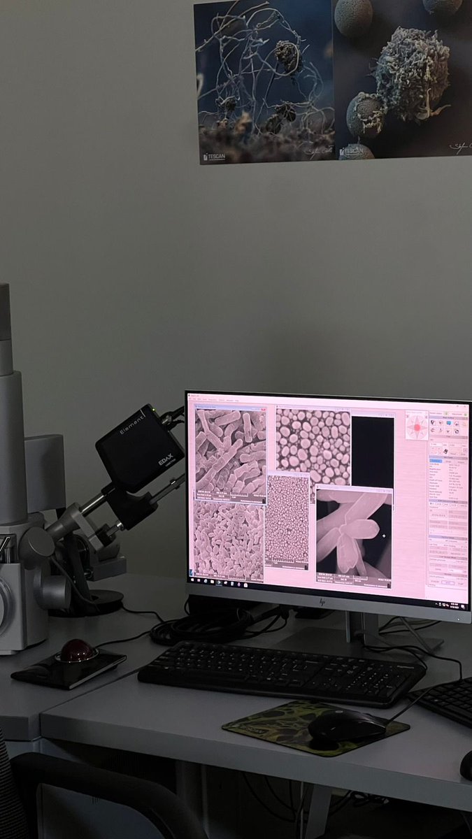 Department of Biology tweet media