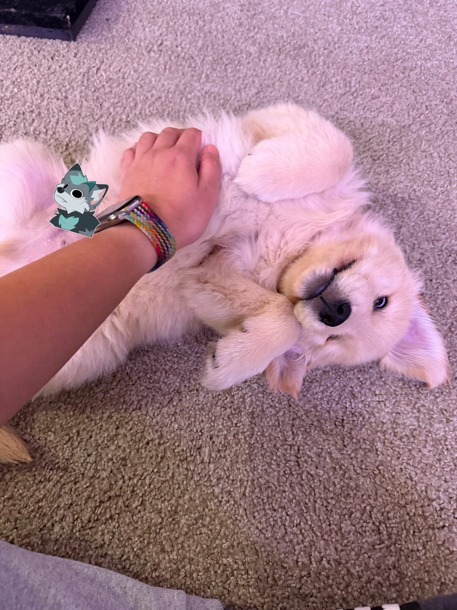 biteyrix's tweet image. Parenting is hard… but he is ADORABLE