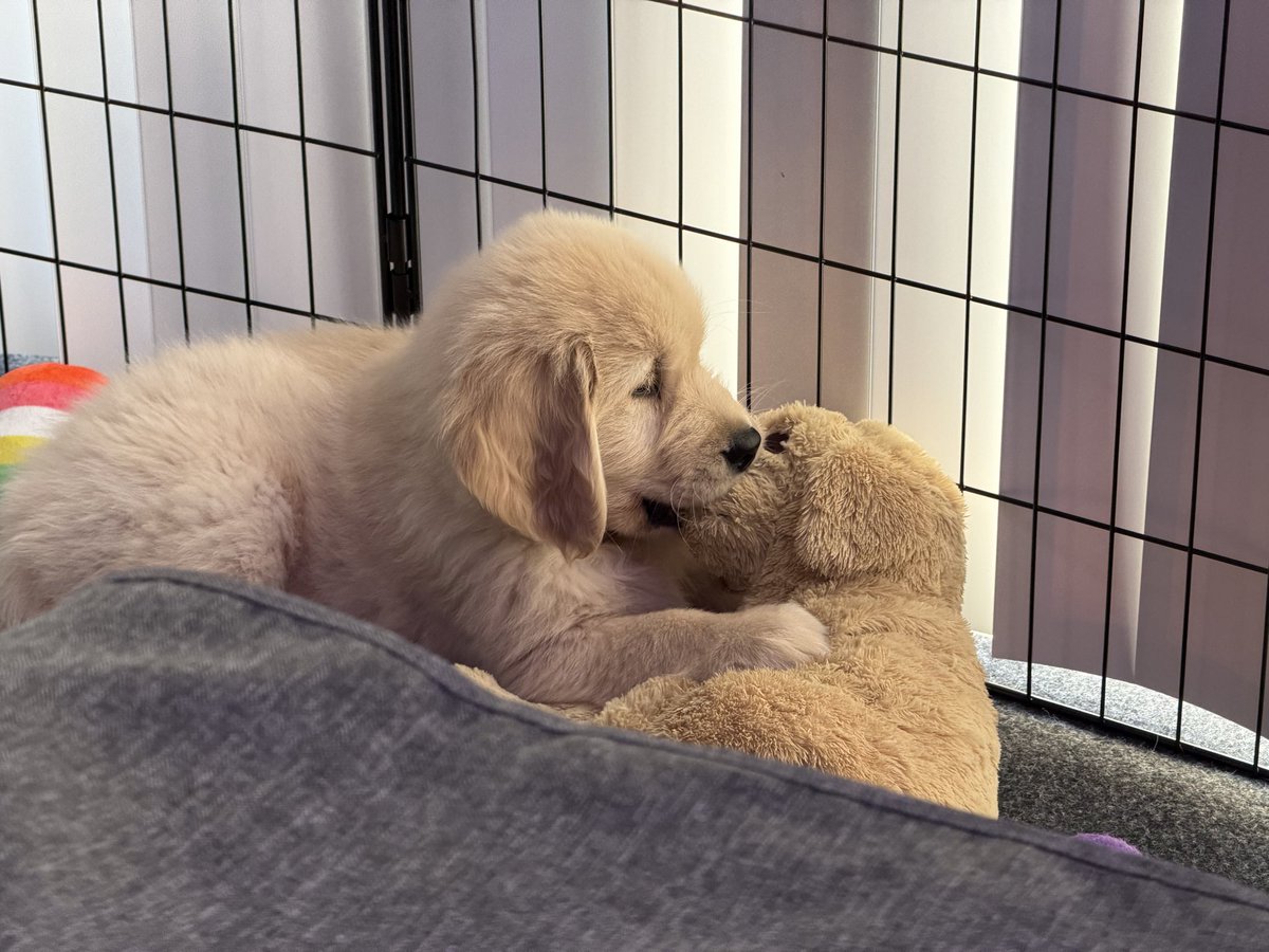 biteyrix's tweet image. Parenting is hard… but he is ADORABLE