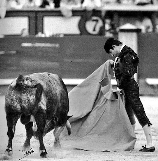 Javier Hernández tweet media