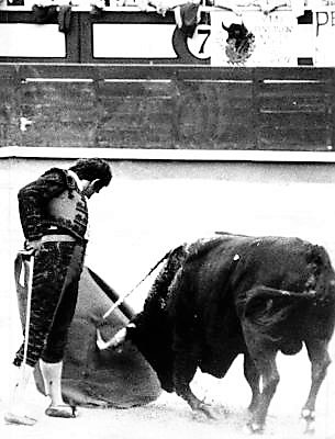 Javier Hernández tweet media