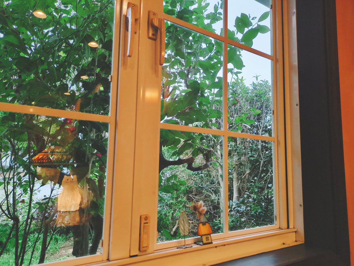 こないだのハッピーおやつ✌️
雨の日の喫茶店ってなんかジーンとして好き