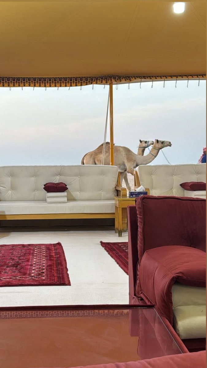 البعد عن بعض العرب طب وعلاج
  حتى لو إنك بـ الحياة اجتماعي.