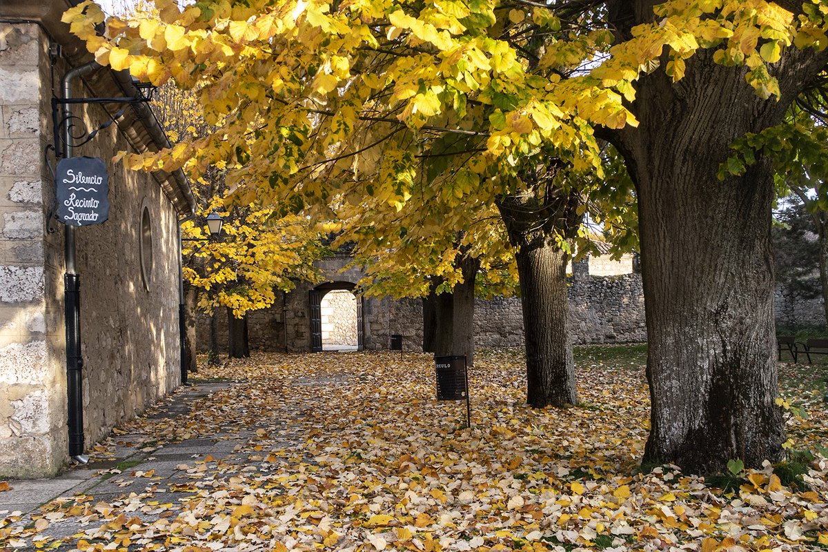 ERMITA DE SAN AMARO
A un paso del parque de El Parral se encuentra una bucólica capilla que recuerda a San Amaro, el venerado penitente francés que, tras realizar el #CaminodeSantiago en el siglo XIII, se quedó en #Burgos para atender a los peregrinos enfermos y moribundos.