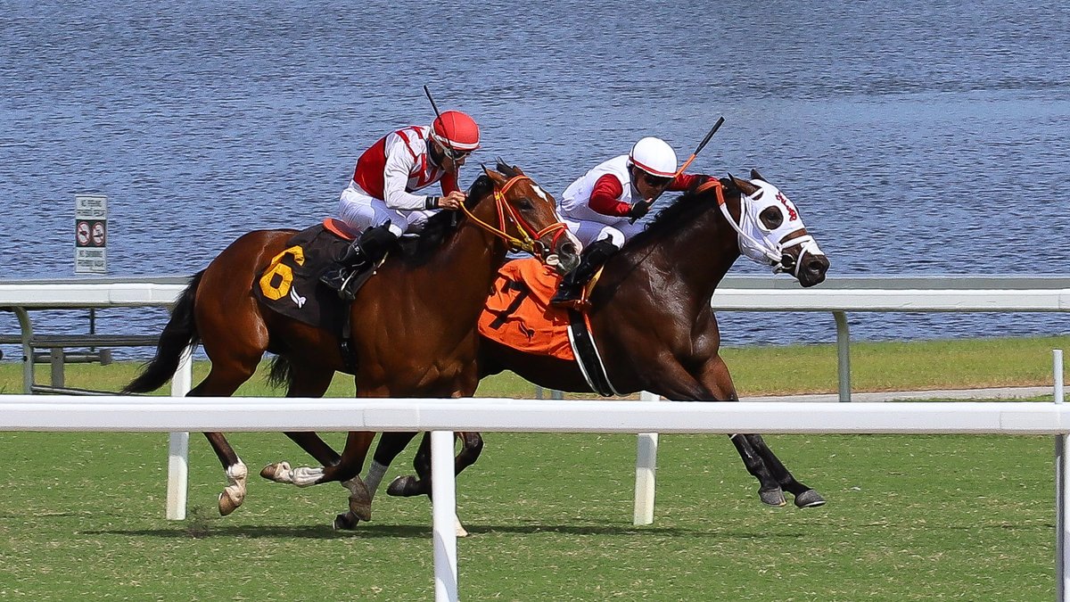 Scottie Too Hottie fends off Magic Solar to grab the victory in race 3, <a href="/JaramilloJockey/">Emisael Jaramillo</a> up for trainer <a href="/VictorEBarboza/">Victor Barboza Jr</a>. #GulfstreamPark #SunshineMeet