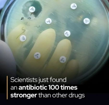 İnsanlığı Tehdit Eden Antibiyotik Direncine Karşı Yeni Gelişme!

Adını hiç duymadığınız en güçlü antibiyotik, onlarca yıldır bilim insanlarının burnunun dibinde duruyormuş!

Warwick Üniversitesi ve Monash Üniversitesi'nden bir ekip, MRSA ve VRE gibi ilaca dirençli bakterilere