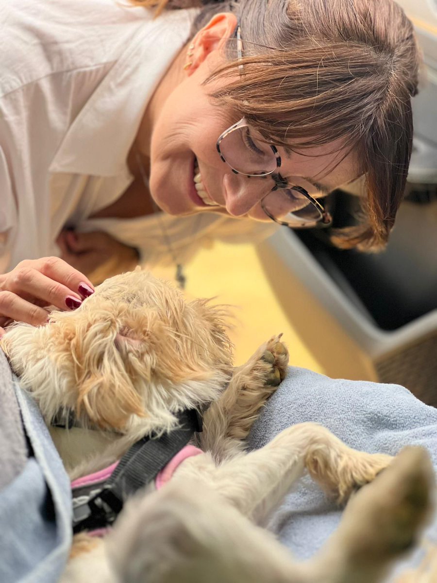 CHEDDAR ADOPTADA !!
Mil gracias Bego por tanto amor .
Que seáis muy felices amigas