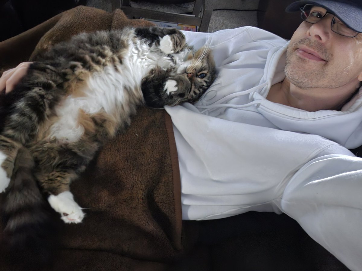 Having as chill a day as possible today, hanging with the kids. Hope everyone had an awesome weekend. ❤️ 🐾 #cats #catpic #catsofx #catsoftwitter #catcuddles #sunday #sundayvibes