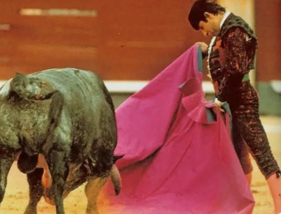 D.E.P. Maestro.
Gracias por su toreo.
Verónicas de ensueño y naturales que no se acaban.
