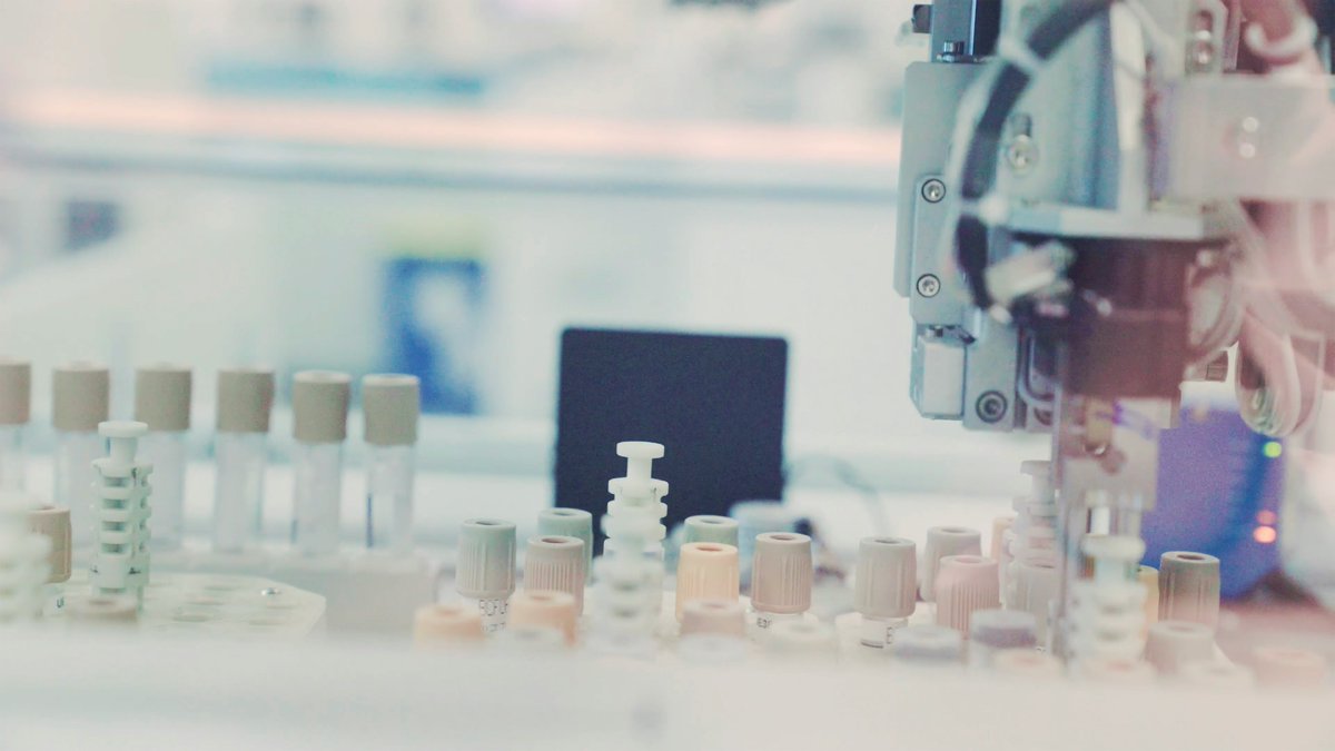 MarcosArrut's tweet image. First, a rejuvenated animal was created through cloning.
Then the process was understood, and human cells were rejuvenated.
Now, the challenge is to induce that process in humans.
The aging revolution isn&apos;t in the future: it&apos;s beginning.

That&apos;s all.