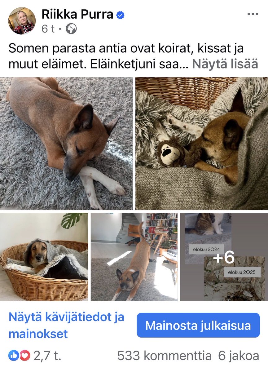 Ihanaa somea eli eläimiä sunnuntai-iltaan 🥰

FB-päivitykseni alla on jo 500 kuvaa ihmisten rakkaista koirista, kissoista ja monista muista eläimistä.

👉 facebook.com/share/p/1ALRNN…