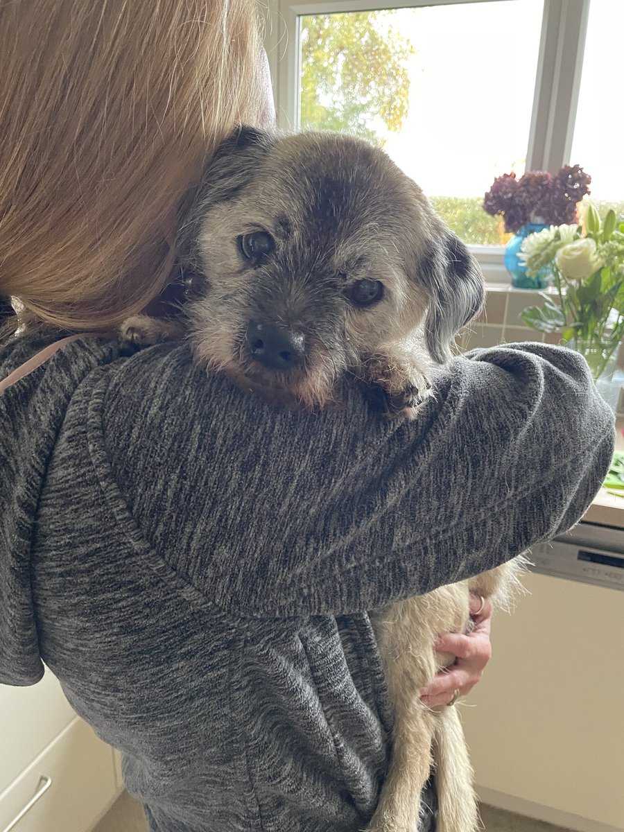 HeidiBT3's tweet image. Mummy’s givin away fwee cuggles if anyfur wants wun… #FormAnOrderlyQueue #BTPosse