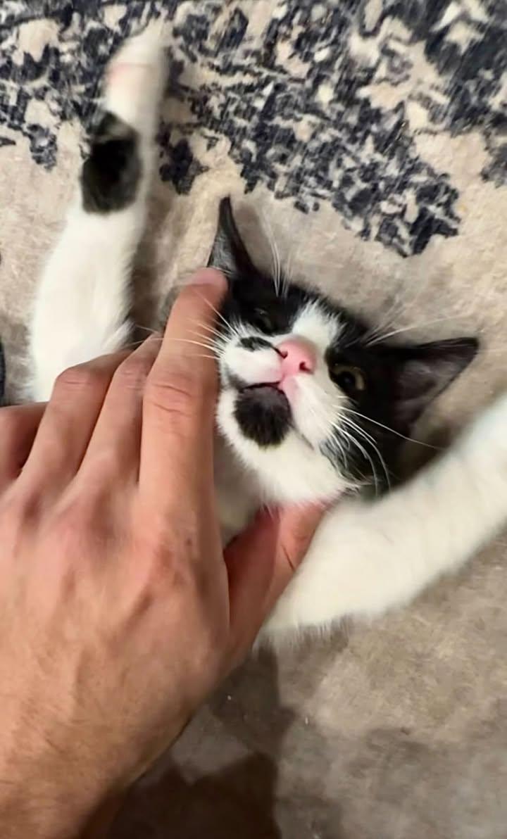 _iii183's tweet image. رحمة الله بالخلق وسعت جميع الكاينـات
ورحمة العبد في خلق الله ترفـع مقامه .