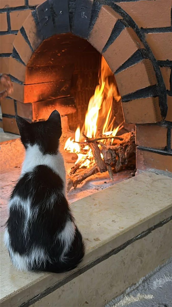 _iii183's tweet image. رحمة الله بالخلق وسعت جميع الكاينـات
ورحمة العبد في خلق الله ترفـع مقامه .