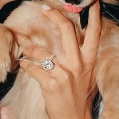 acervo charles leclerc tweet media