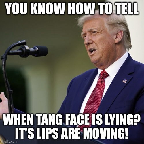 Scootr Bumm tweet media