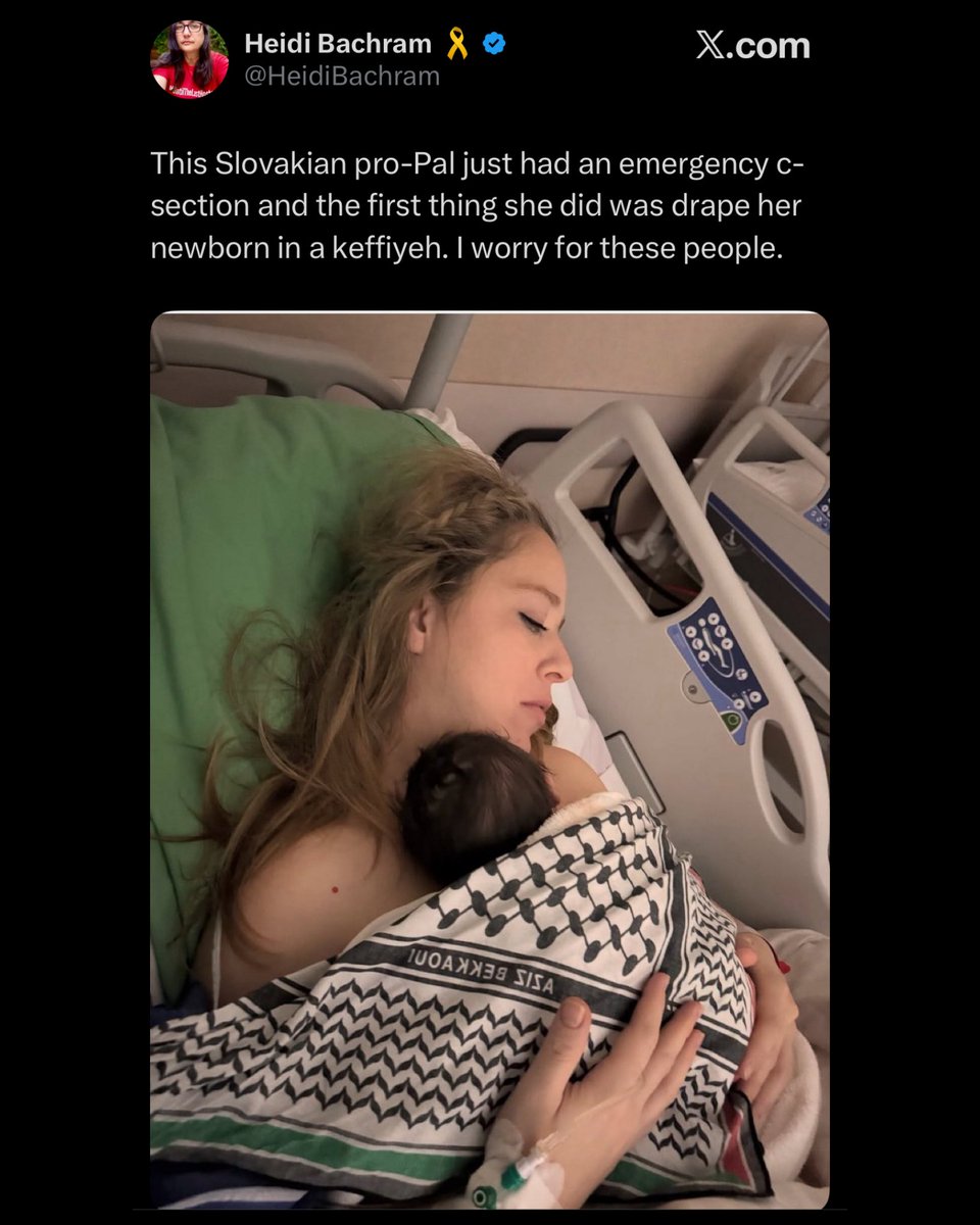 TOliveFern's tweet image. imagine feeling threatened by literally a postpartum mother and her baby