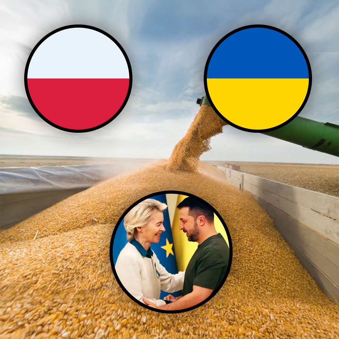 Ewa Zajączkowska-Hernik (@EwaZajaczkowska) on X