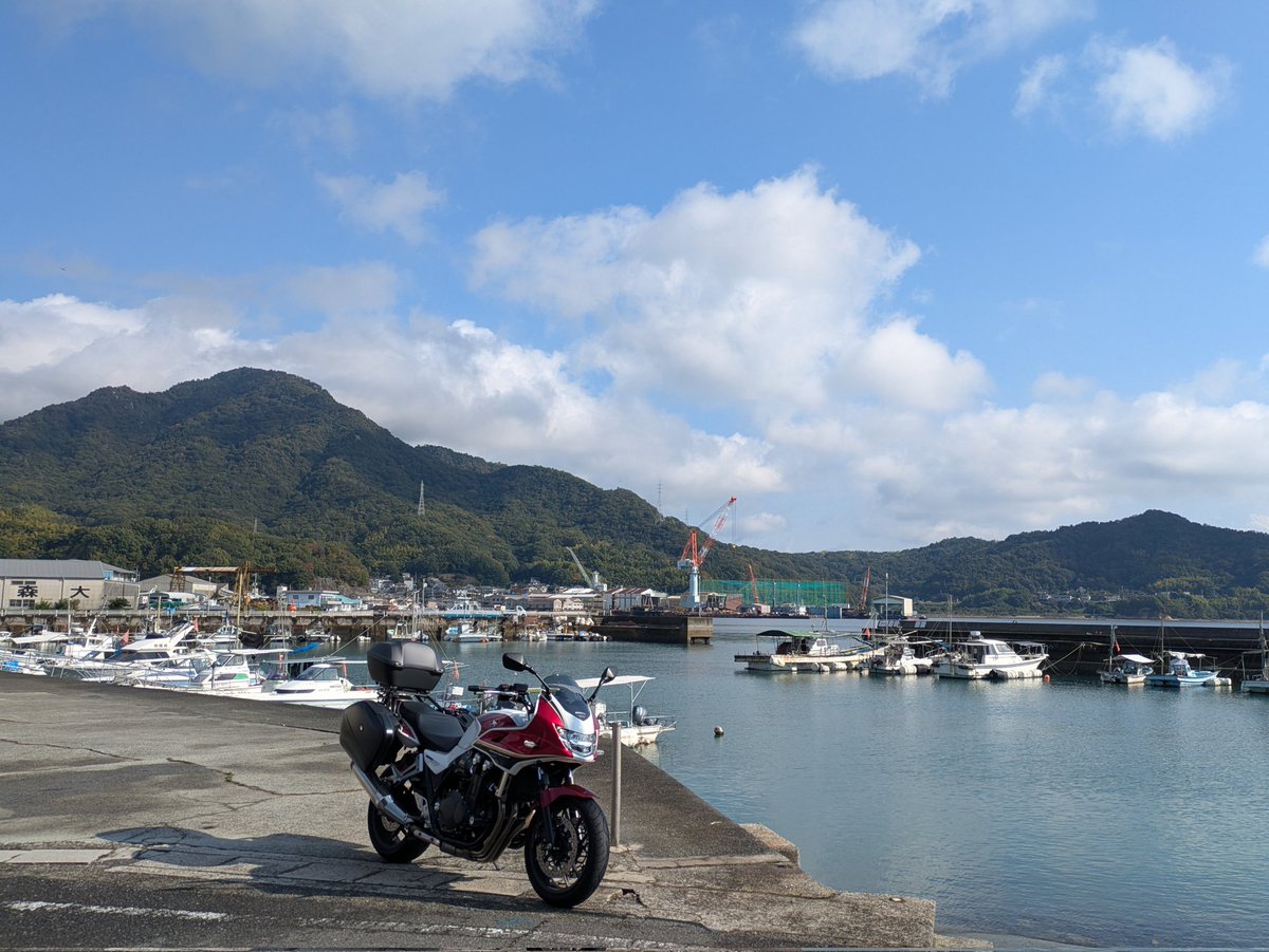 瑞雲ziun ELD55 on X