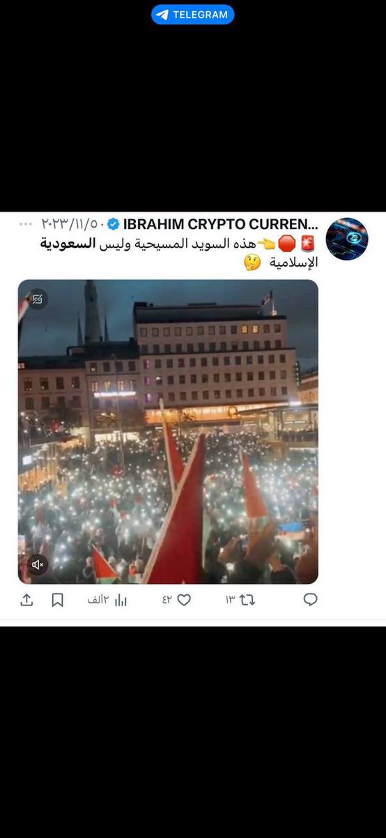 مكافح النصب والاحتيال tweet media