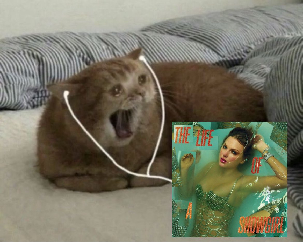 Makowka_babes's tweet image. Ja setny raz słuchając tej samej płyty: