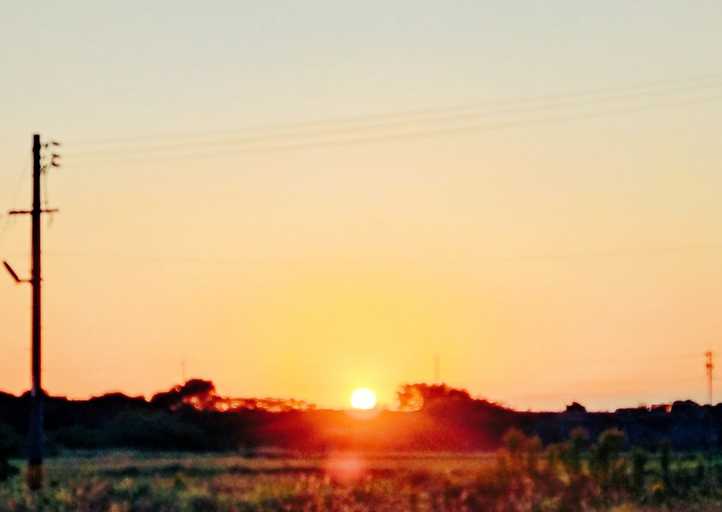 もーにん☀ひんやり心地いいわ🩷

#おはよう #ウォーキング #朝焼
#文化の日