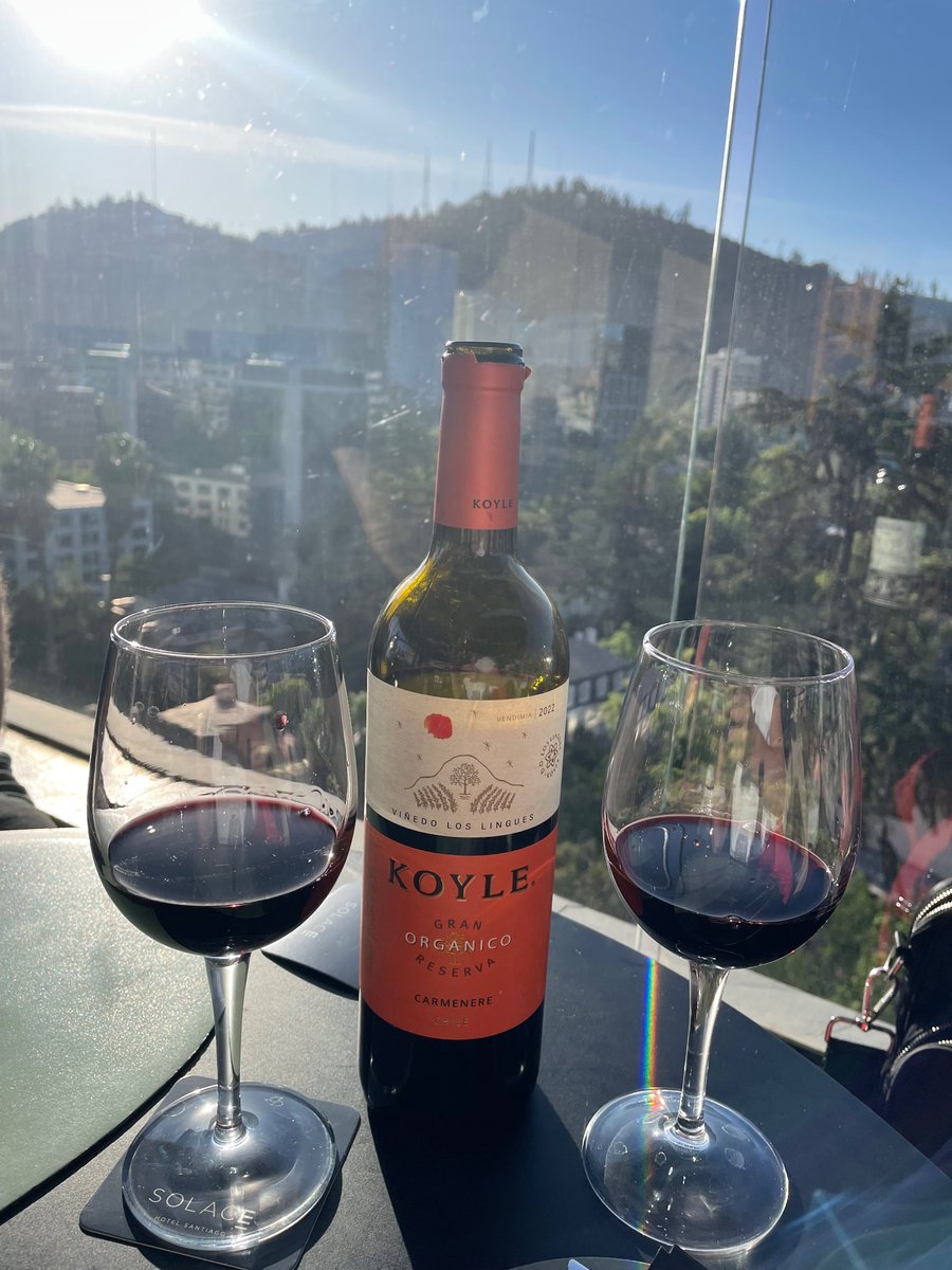 Dr Rebecca Gordon tweet media