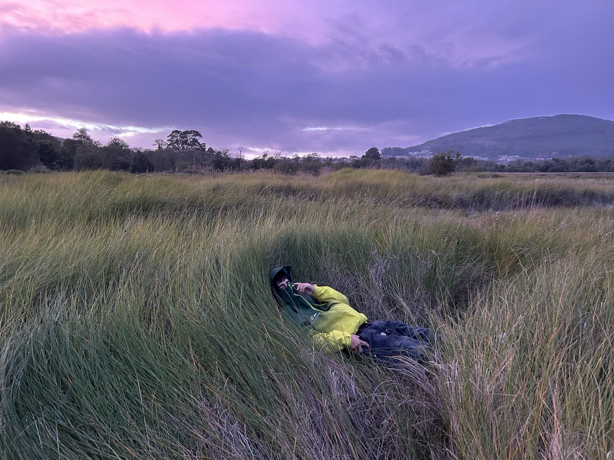 🌬️🌬️🌬️🌬️🌬️