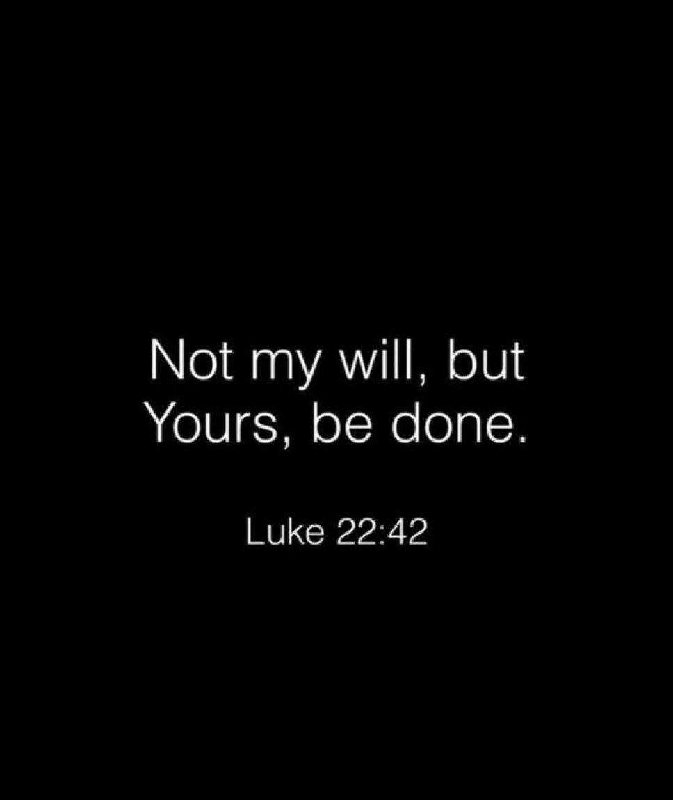 Bible 365 (@bible365_) on Twitter photo 