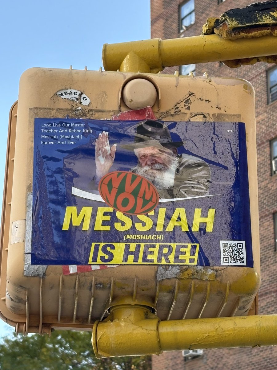 reSDL (🐬,🐬) (@sdlsaylor) on Twitter photo 