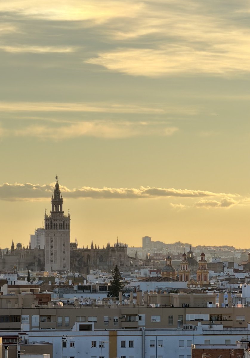 ArcoDelPostigo's tweet photo. Sevilla es un suspiro constante…
📸ArcodelPostigo https://t.co/fNQm0cby5h