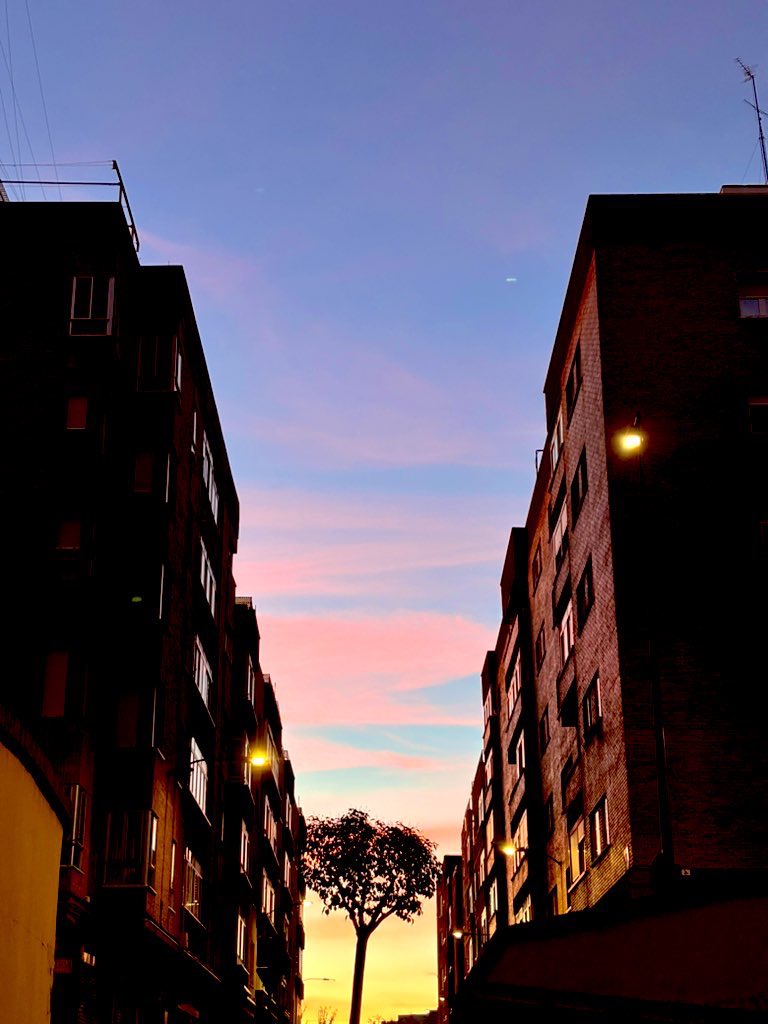 Blanca JC tweet media